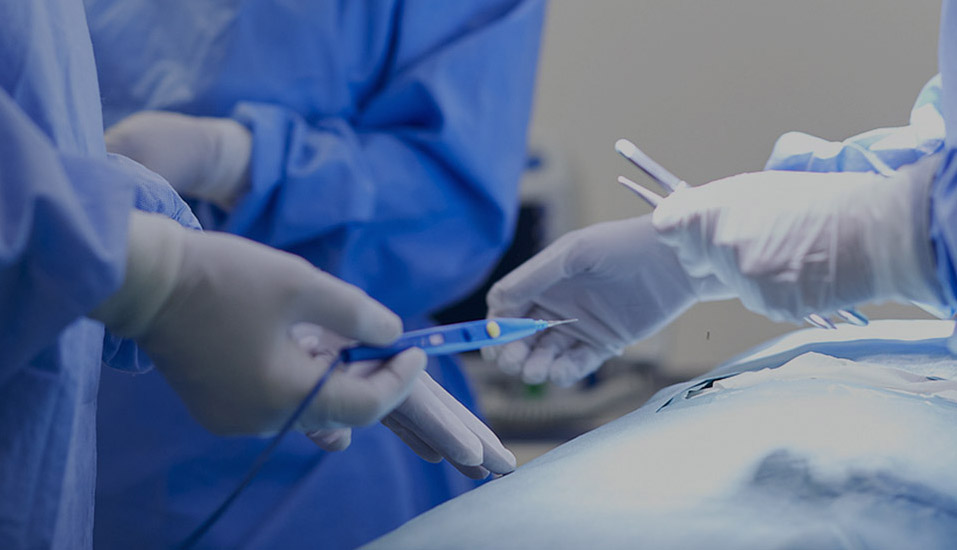 Công ty TNHH Công nghệ Y tế Eray (Nantong)